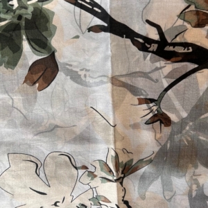 Jaapanipärane Siidisall Itaaliast